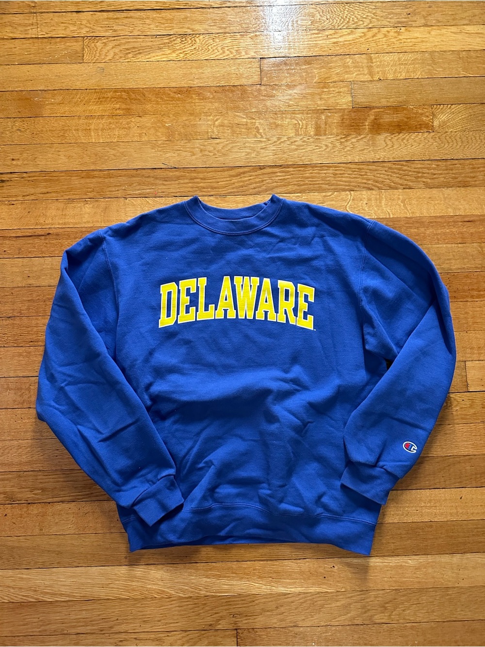 University Of Delaware Champion Sweatshirt Blue Size Medium College Collegiate